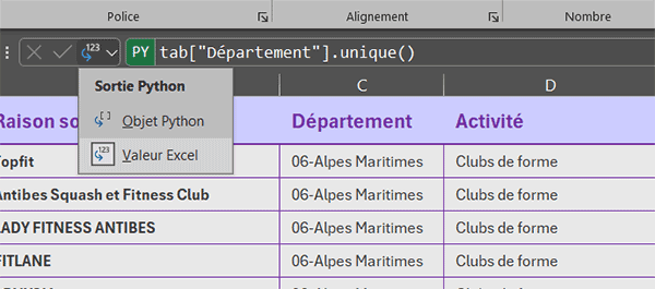 Convertir un DataFrame Python en tableau Excel