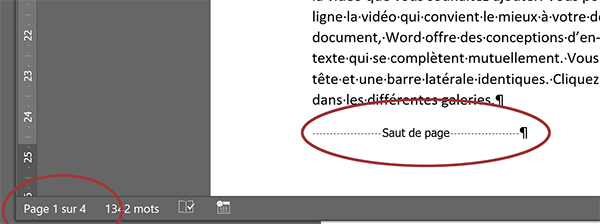 Caractères masqués et indication sur le nombre de pages dans un document Word