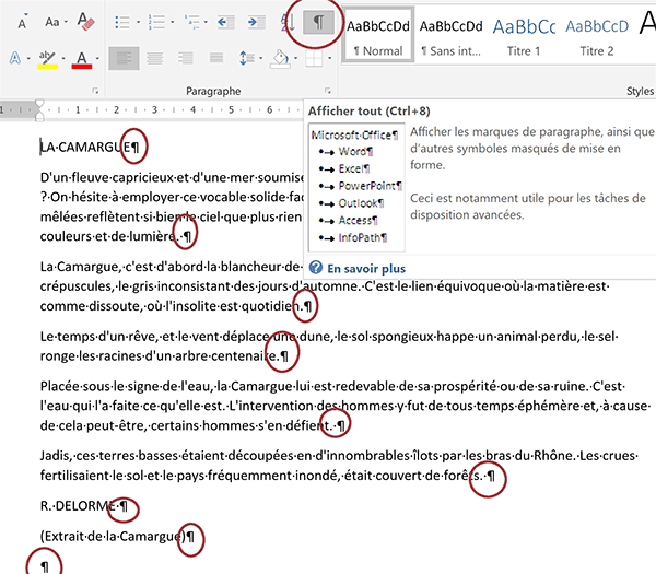 Bouton Afficher tout pour visualiser les caractères masqués délimitant les paragraphes Word