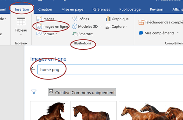 Ajouter image issue du Web dans document Word par recherche avec mots clés