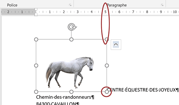 Redimensionner proportionnellement et précisément une image insérée dans un document Word