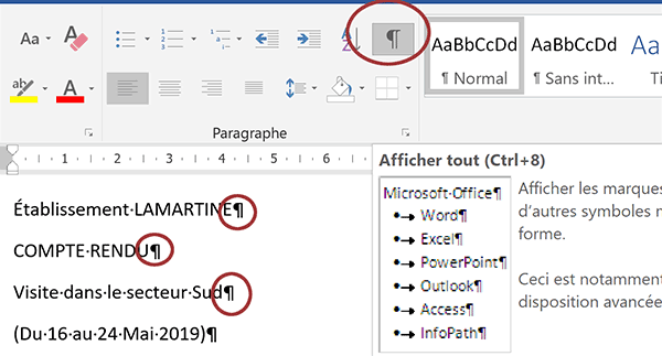 Bouton Afficher Tout pour visualiser les caractères masqués dans le document Word dont les marques de paragraphes