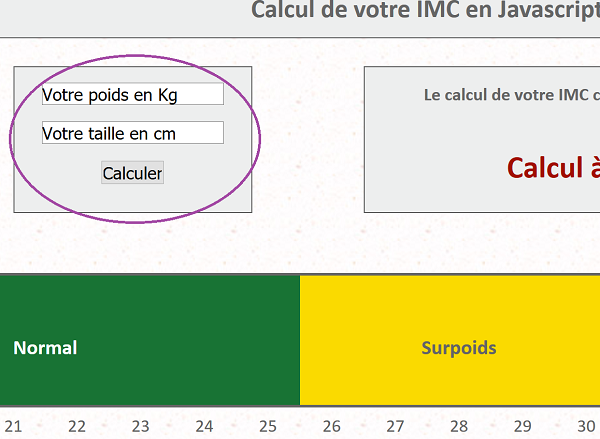 Créer contrôles Input avec balises Html pour interactions avec utilisateur internet