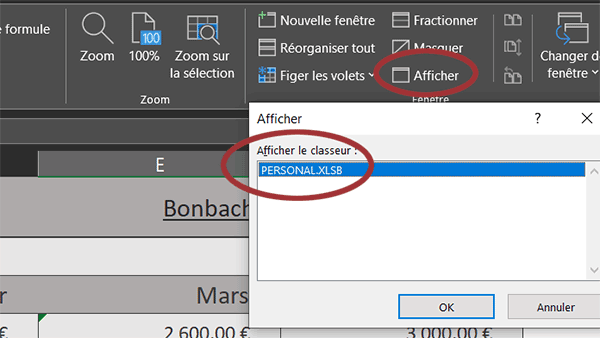 Afficher le modèle Excel personal.xlsb