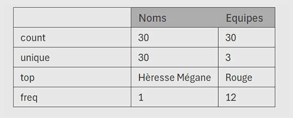 Statistiques sur tableau Excel par méthode Python describe