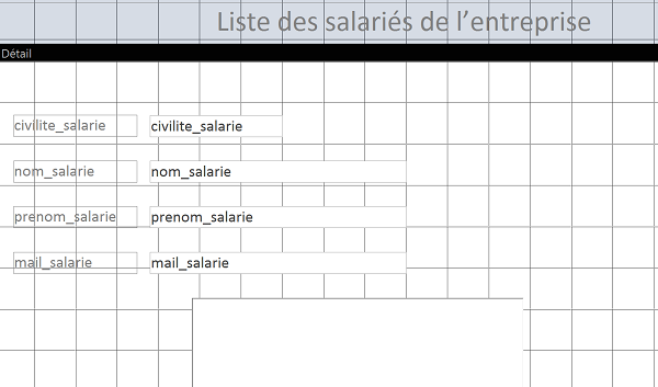 Disposition et organisation des champs pour le formulaire Access multimédia avec photos