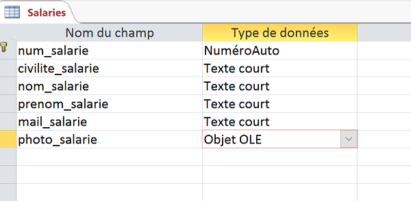 Ajout de champ de type OLE dans table Access pour insérer des photos