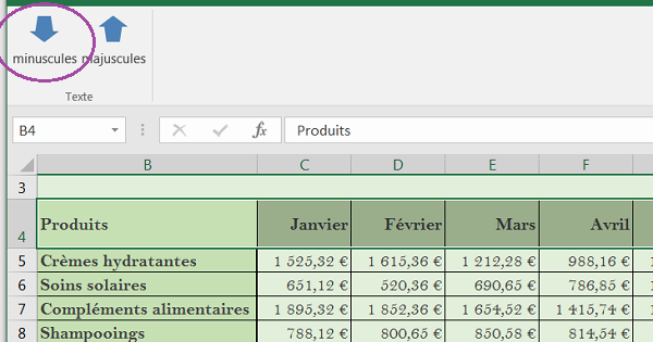 première lettre en majuscule excel