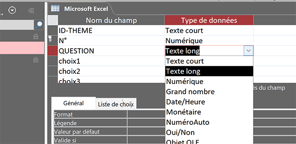 Format texte enrichi pour un champ de table Access