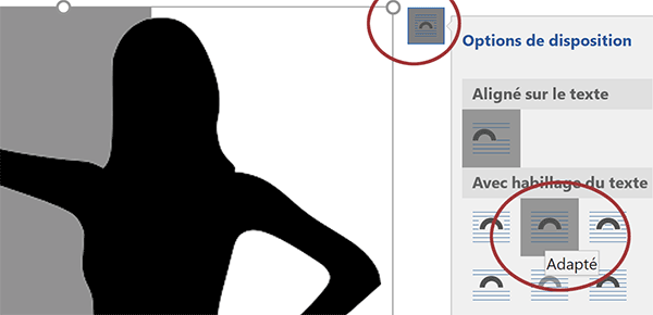 Habillage adapté pour image Word afin que le texte se place à côté