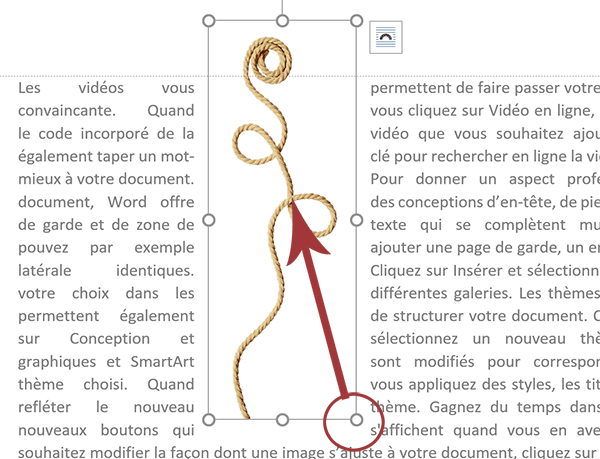 Diminuer la taille image dans Word en conservant les proportions