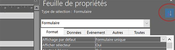 Afficher les propriétés du formulaire Access par ordre alphabétique