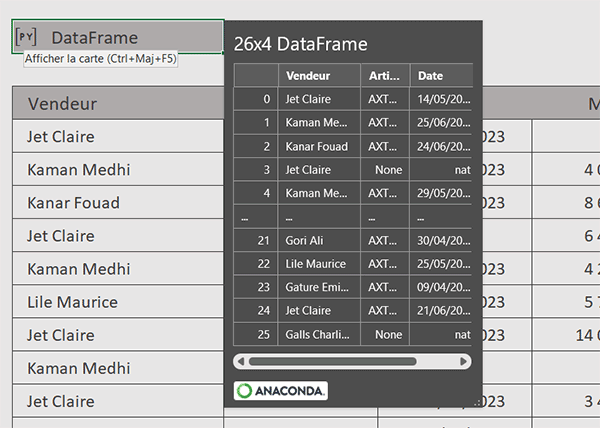 DataFrame Python avec aperçu des données Excel