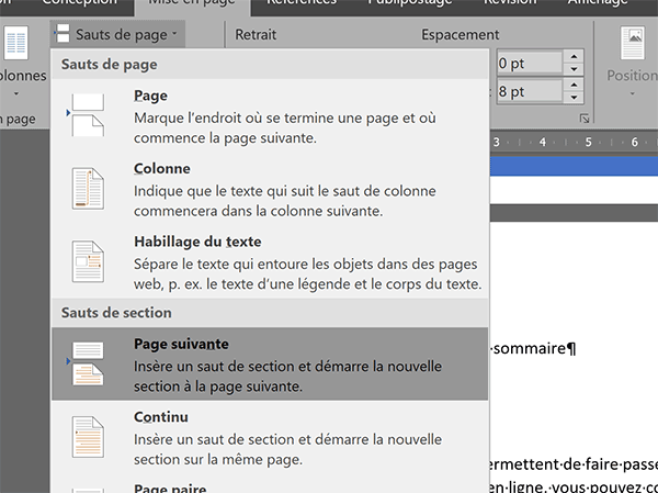 Insérer un saut de section page suivante dans Word pour différencier les numérotations