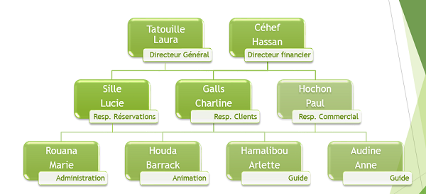 Construire organigramme avec hiérarchie entreprise dans Powerpoint