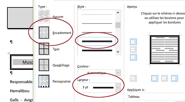 Personnaliser les bordures de tableaux Word avec style et épaisseur de trait