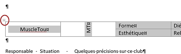 Icône en haut à gauche pour sélectionner intégralement un tableau Word