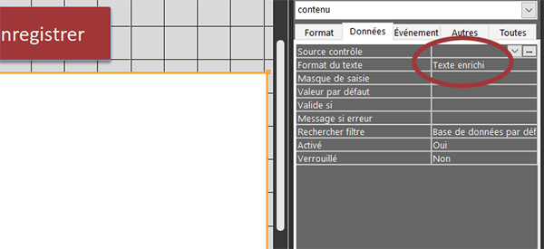 Zone de texte enrichie sur formulaire Access pour mise en forme