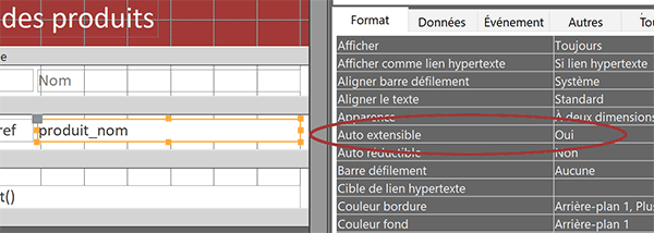 Régler une zone de texte auto-extensible pour ajuster sa hauteur au contenu sur un état Access