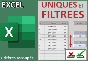 Lignes uniques selon critères avec Excel